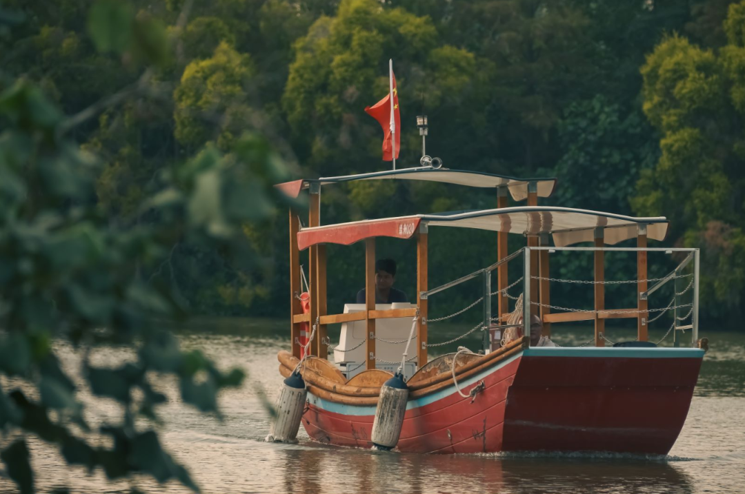 来广州最南端露营吧！乘小船穿梭湿地丛林，看白鹭水上飞，享自然生态之美！蒙古包（亲子帐）