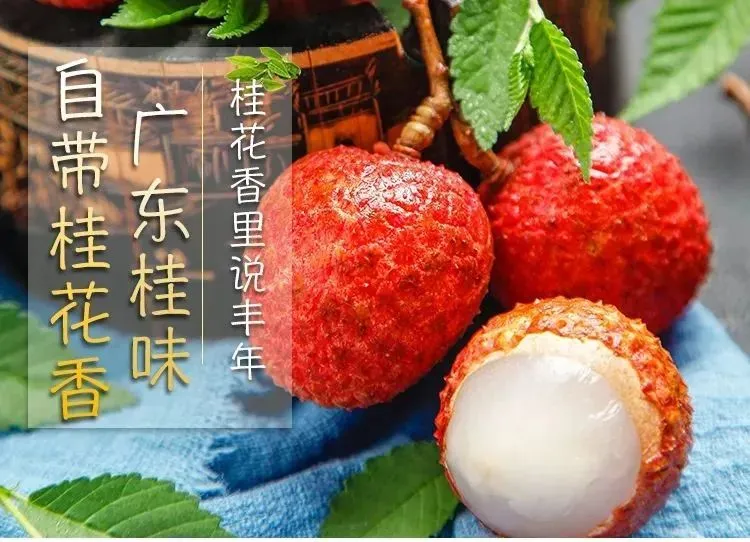 【深圳】周末通用无加收、¥69.8=1大1小荔枝采摘任吃，体验摘果乐趣 ~进场任吃任摘！三种口味，荔枝吃到饱！