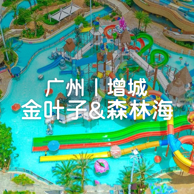 金叶子复式泡池2房一厅+享森林海酒店双人自助午餐+2大2小嬉水乐园门票~暑期专场~赏大型烟花秀