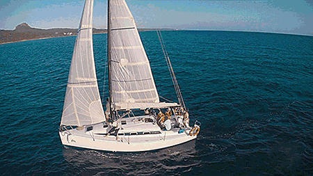 450_253gif 动态图 动图