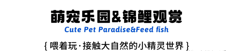 【冬季特惠】广州增城森林海森林海温泉套票+乐园丛林自助午餐【单人套票】可携带2名1.5米以下儿童入园
