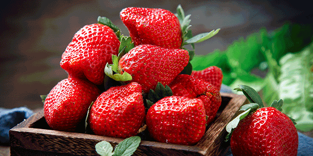 【增城·乐禾数字农场】49.9元2大2小采摘草莓套餐！可带走自摘空中红草莓一斤～科技感十足的草莓园，好吃又好玩！